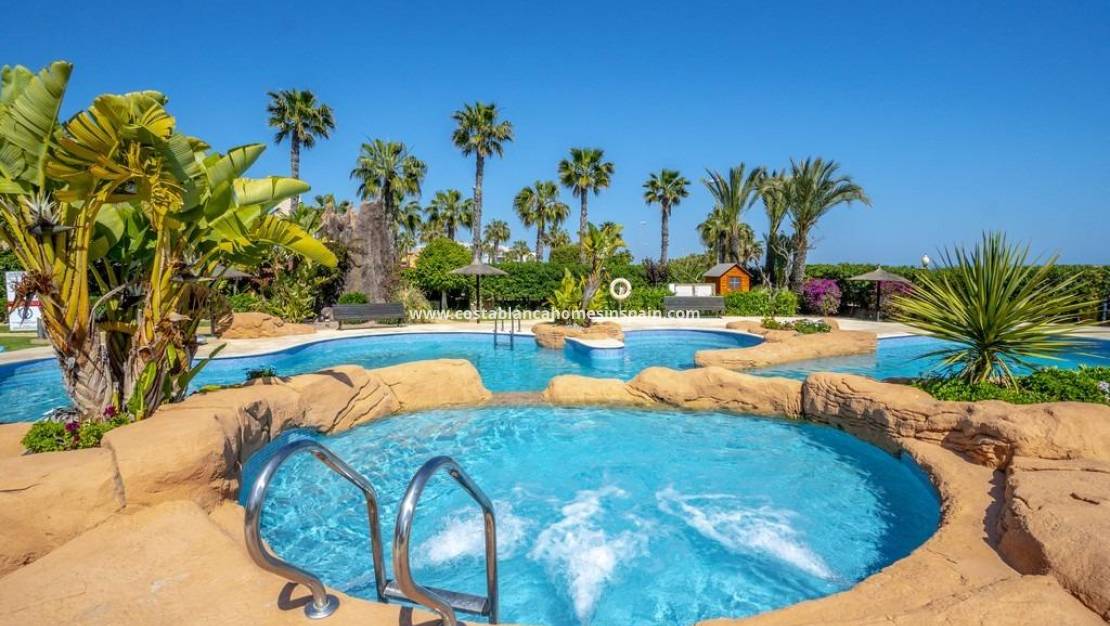 Használt - Apartment - Cabo Roig