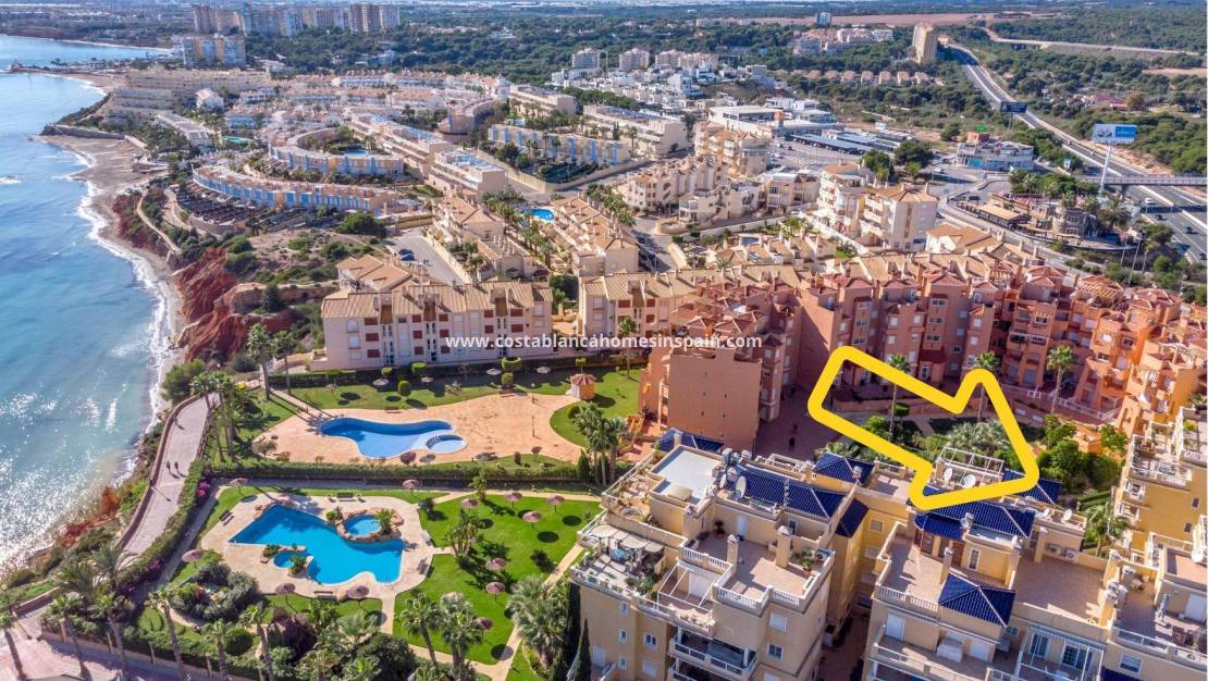 Használt - Apartment - Cabo Roig