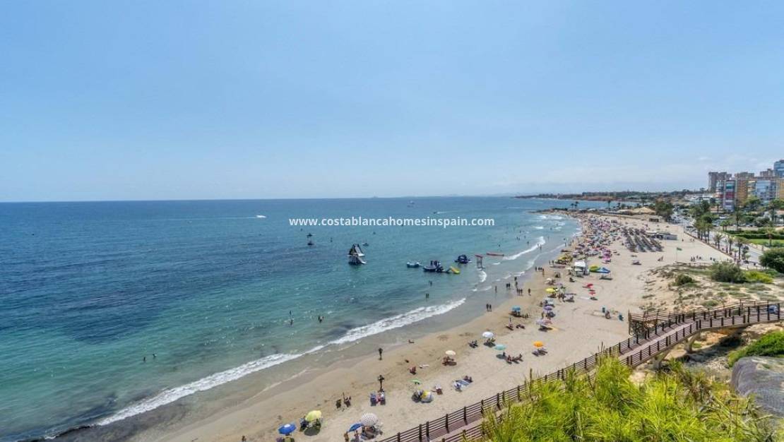 Használt - Apartment - Campoamor - Costa Blanca