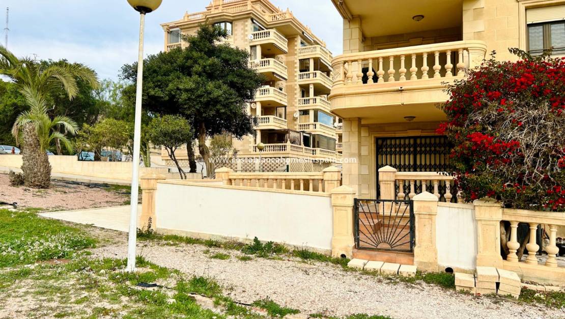 Használt - Apartment - Guardamar del Segura - Guardamar