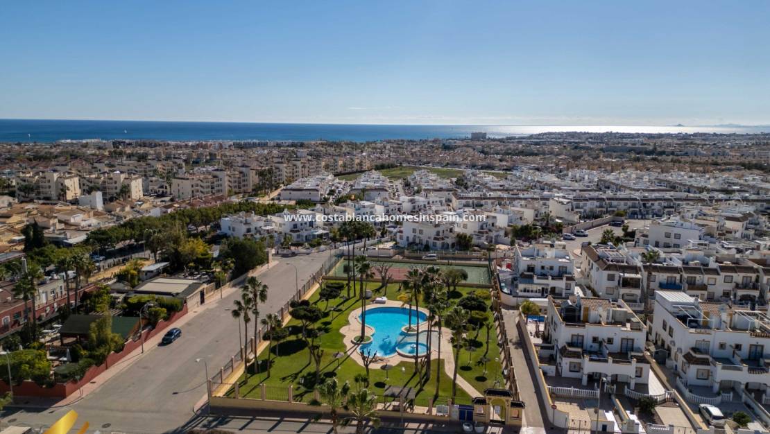 Használt - Apartment - La Florida