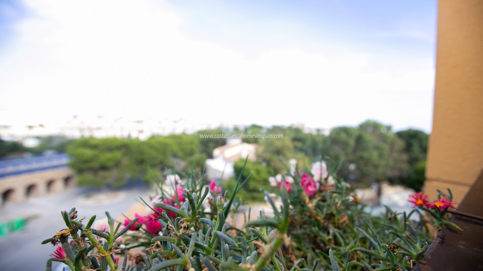 Használt - Apartment - La Zenia - Beachside