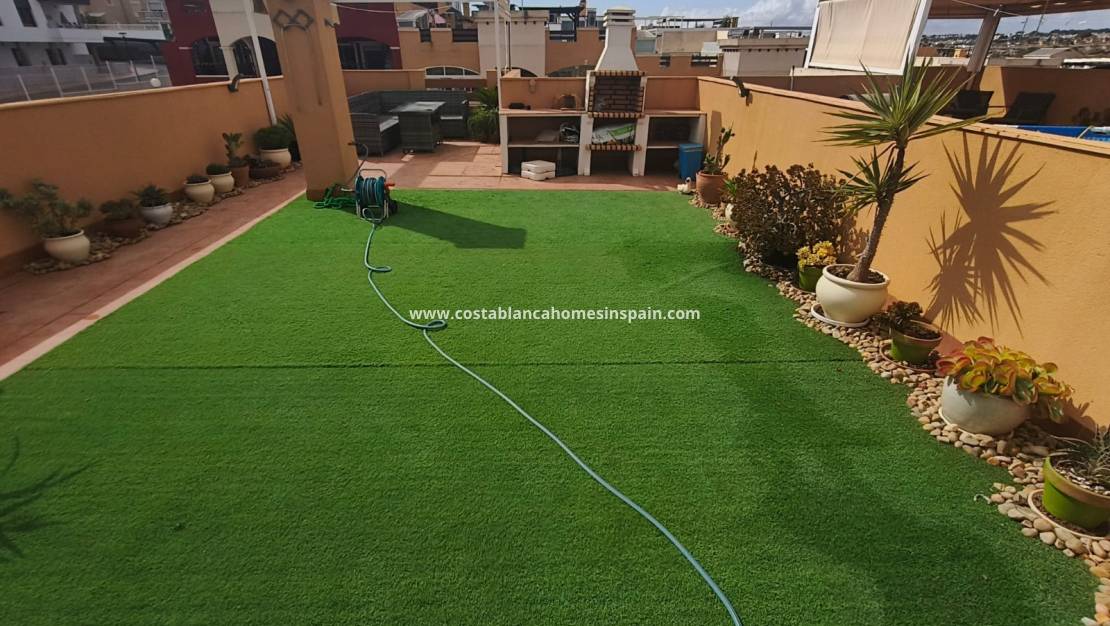 Használt - Apartment - Los Altos