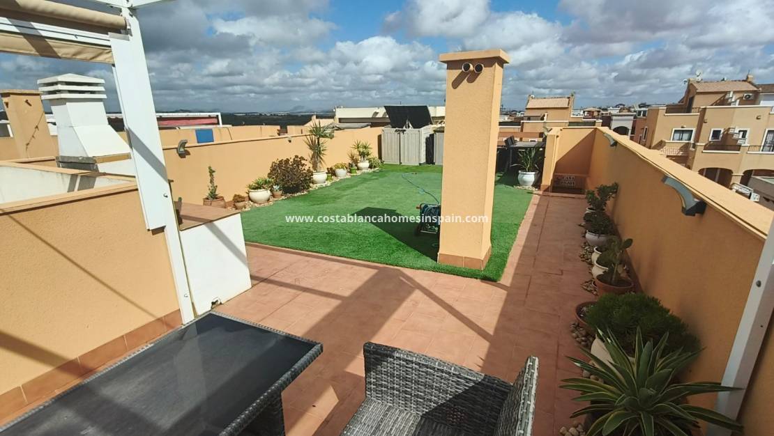 Használt - Apartment - Los Altos