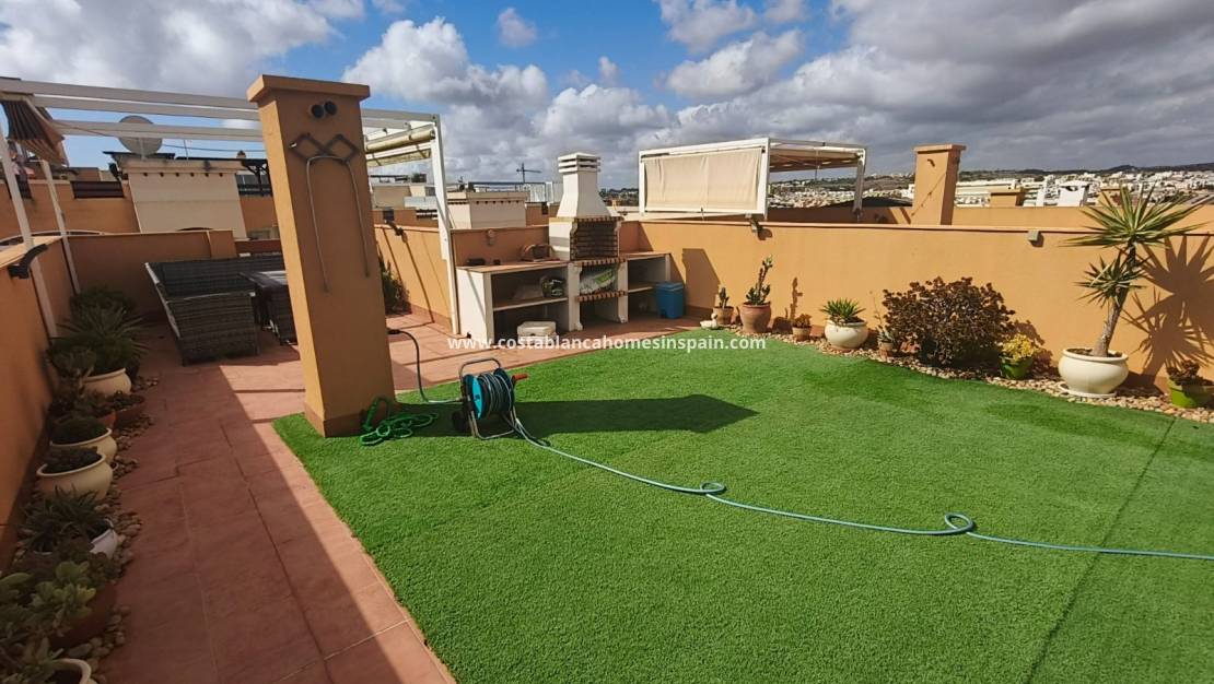 Használt - Apartment - Los Altos