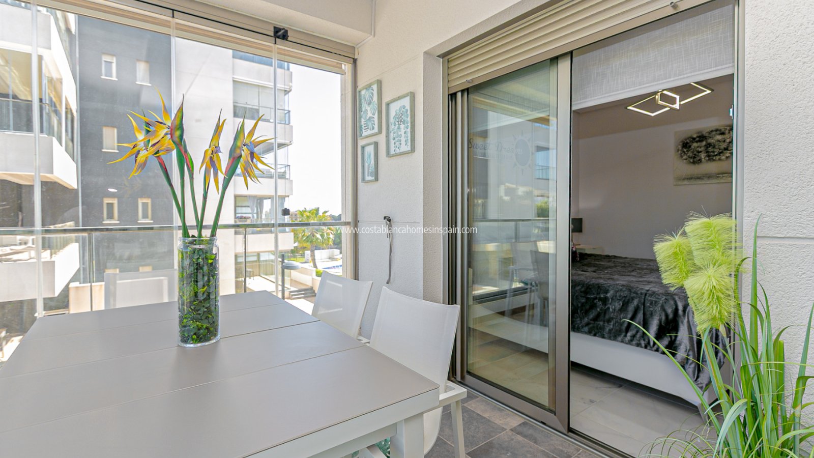 Használt - Apartment - Los Dolses - Pimienta