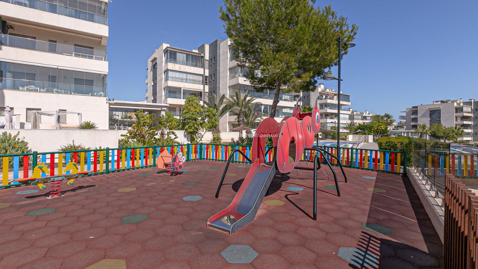 Használt - Apartment - Los Dolses - Pimienta