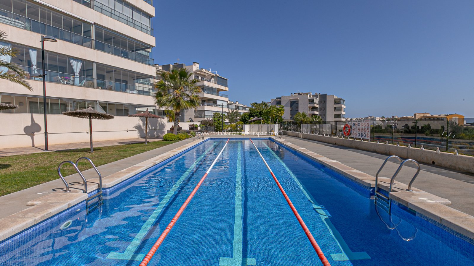 Használt - Apartment - Los Dolses - Pimienta