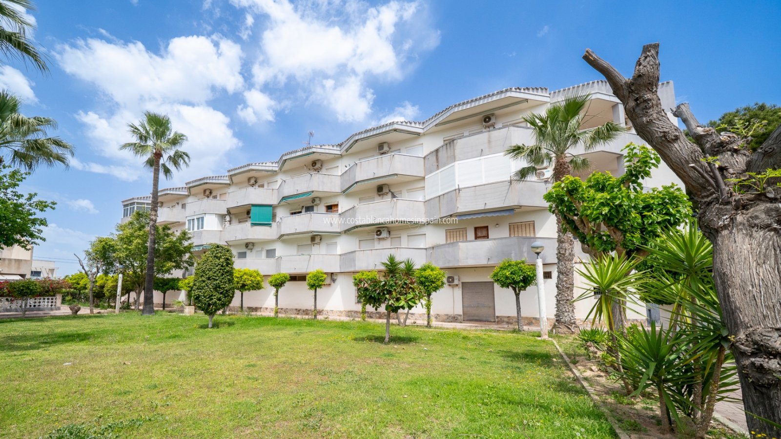 Használt - Apartment - Orihuela Costa - Cabo Roig