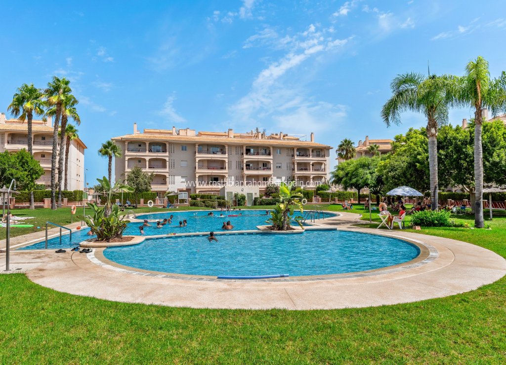Használt - Apartment - Orihuela Costa - Playa Flamenca