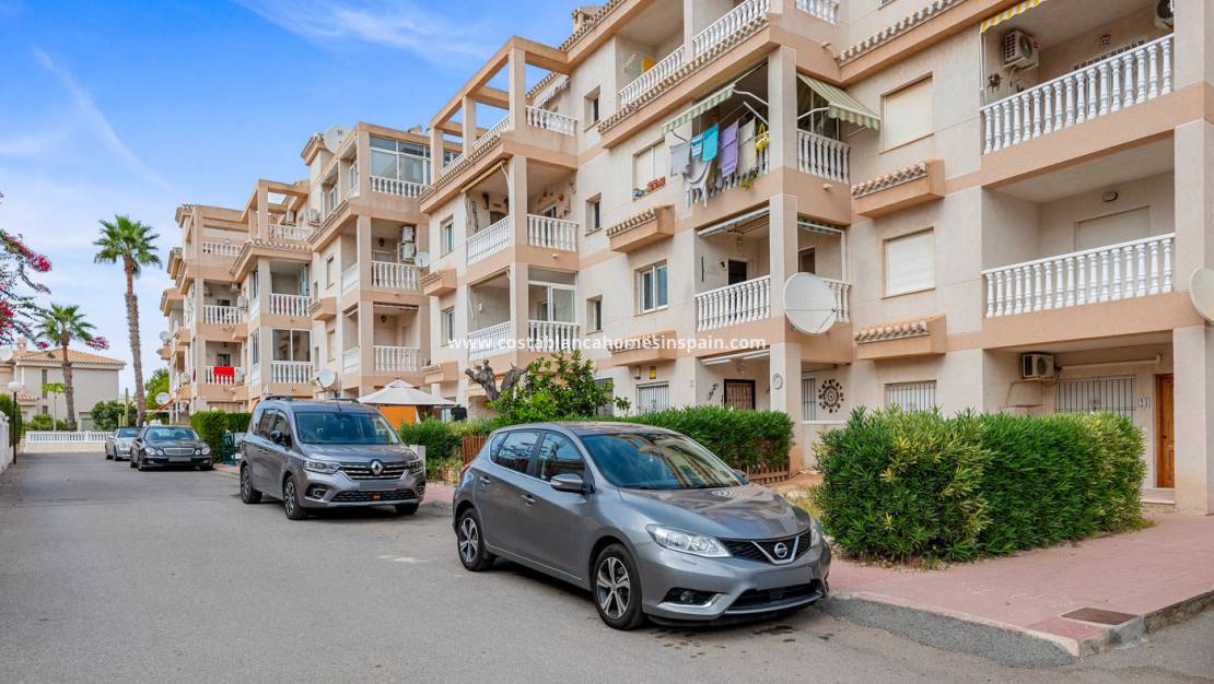 Használt - Apartment - Orihuela Costa - Playa Flamenca