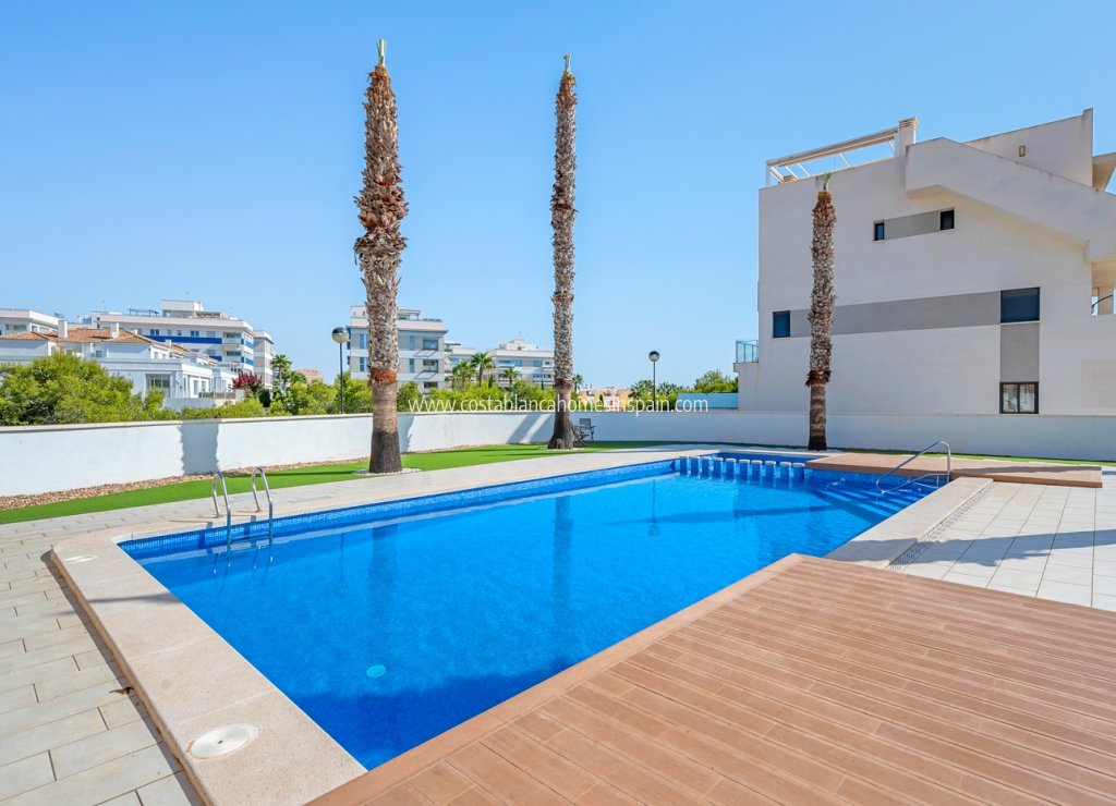 Használt - Apartment - Orihuela Costa - 