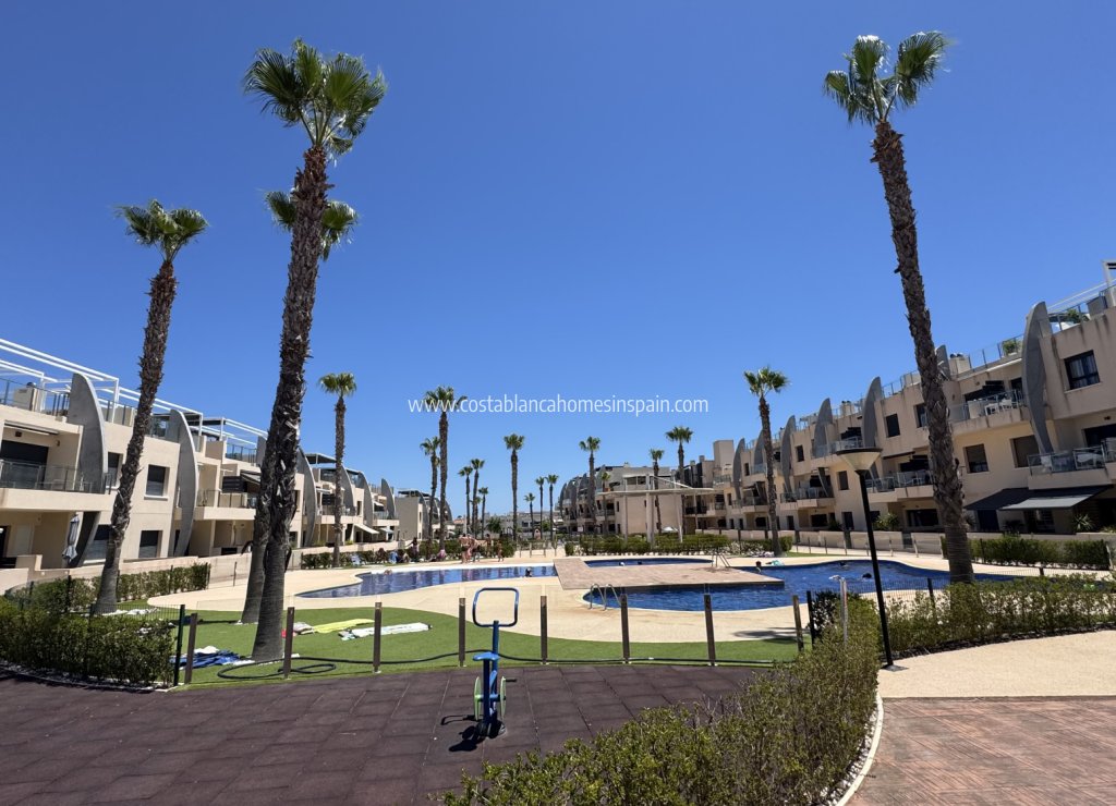 Használt - Apartment - Pilar de La Horadada - 