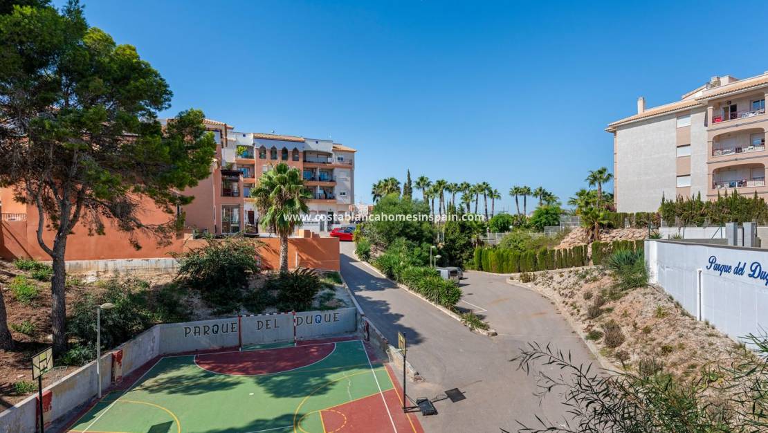 Használt - Apartment - Playa Flamenca - Costa Blanca South