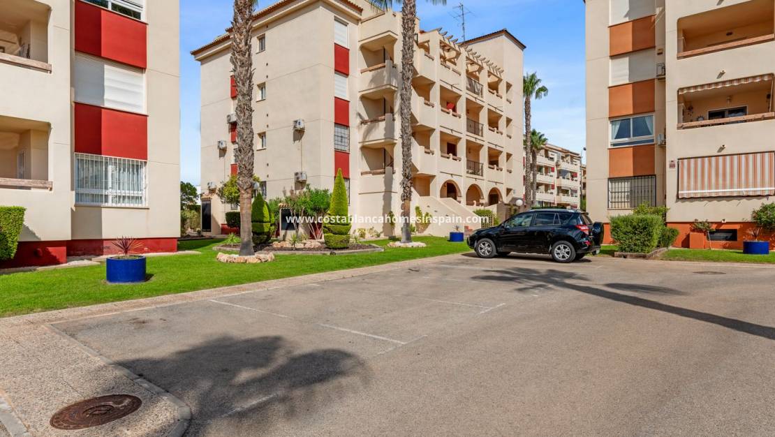 Használt - Apartment - Playa Flamenca - Costa Blanca South