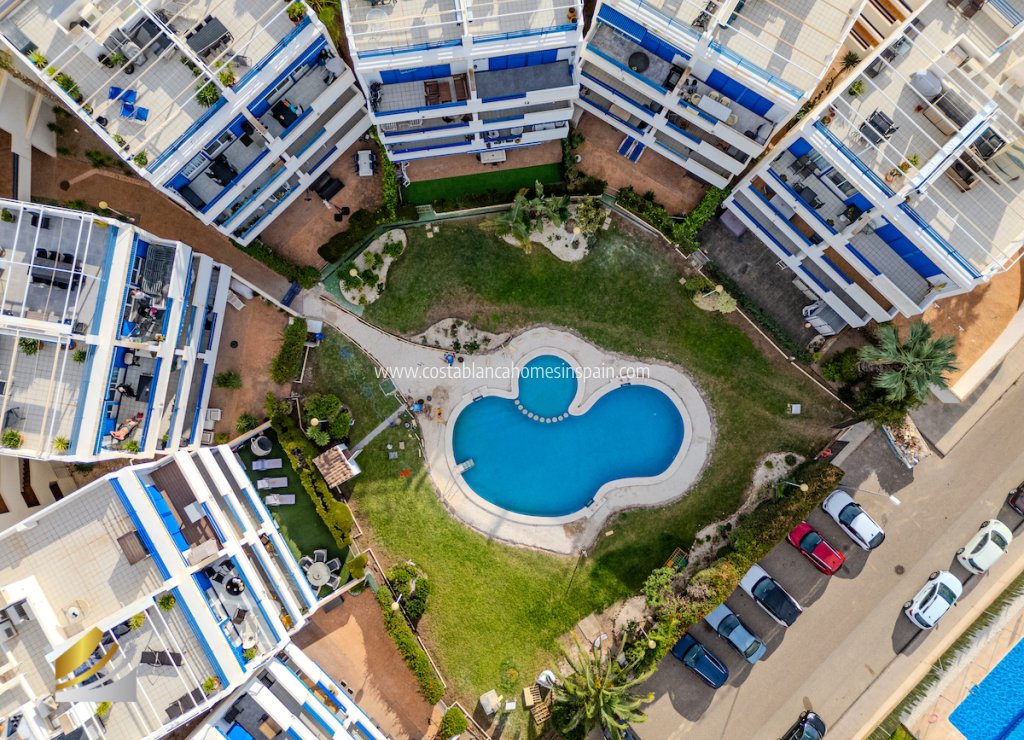 Használt - Apartment - Playa Flamenca - Costa Blanca South