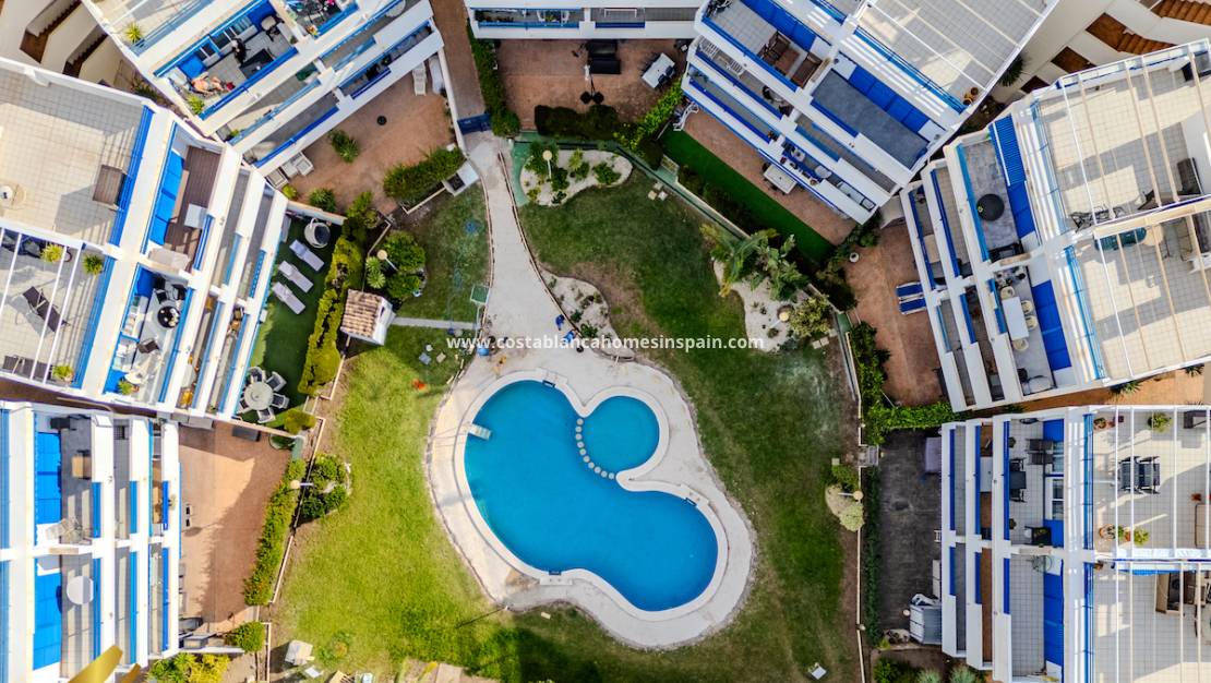 Használt - Apartment - Playa Flamenca - Costa Blanca South