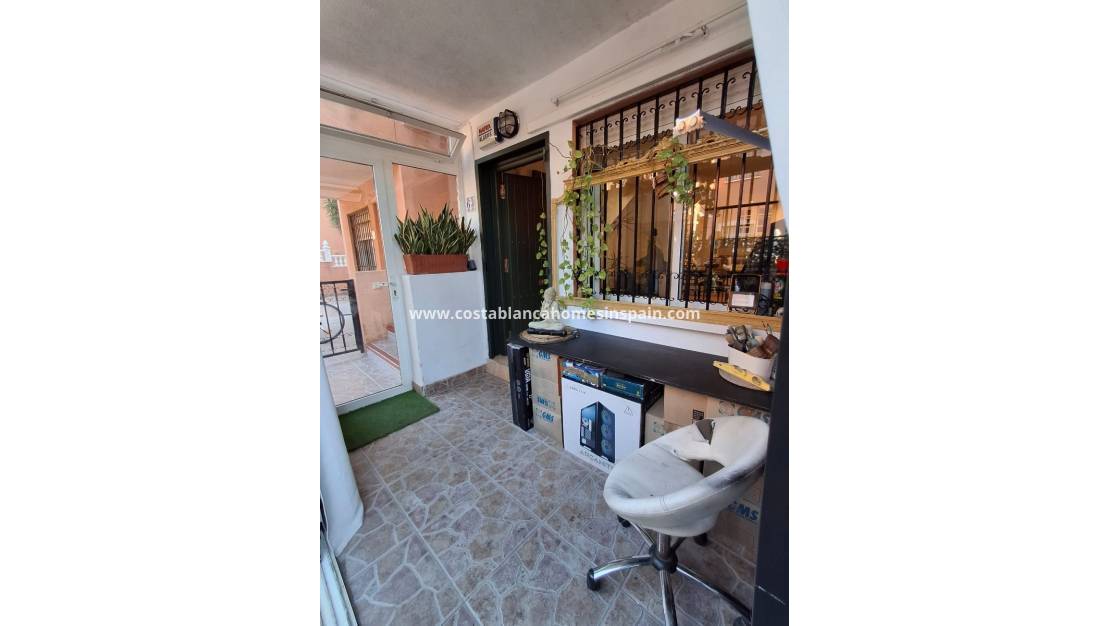 Használt - Apartment - Playa Flamenca - Costa Blanca