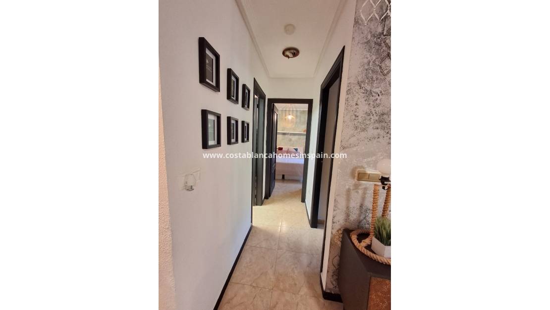 Használt - Apartment - Playa Flamenca - Costa Blanca