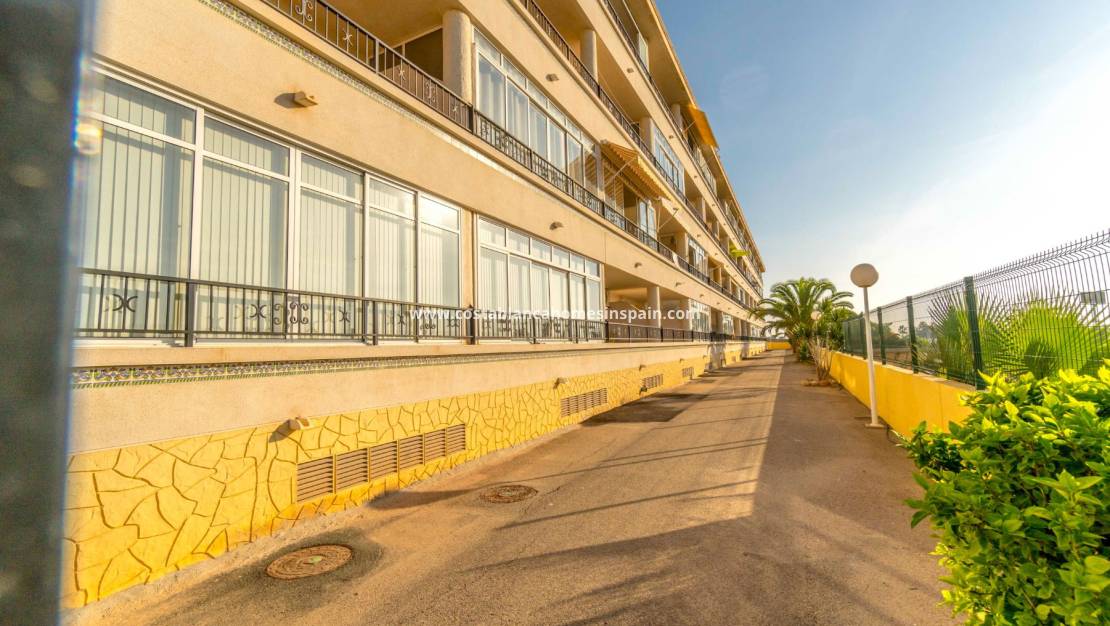 Használt - Apartment - Playa Flamenca I