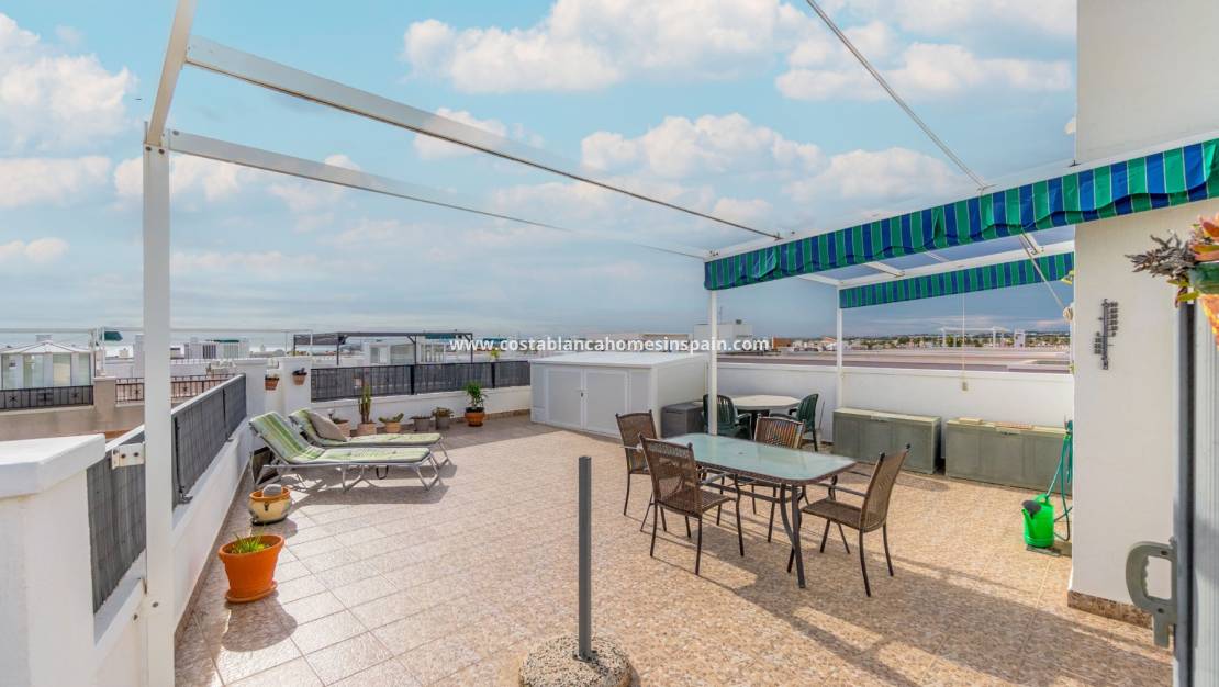 Használt - Apartment - Playa Flamenca I