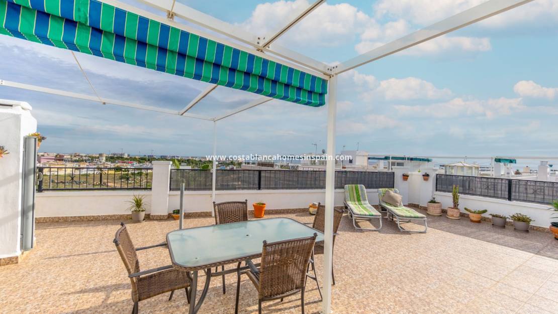 Használt - Apartment - Playa Flamenca I