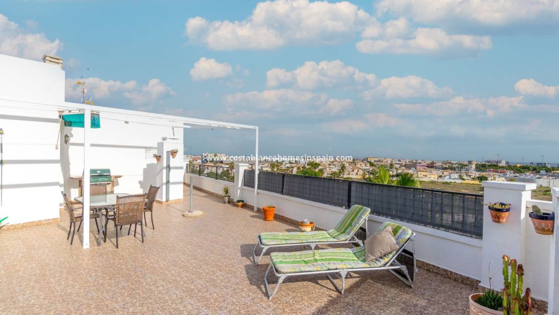 Használt - Apartment - Playa Flamenca I