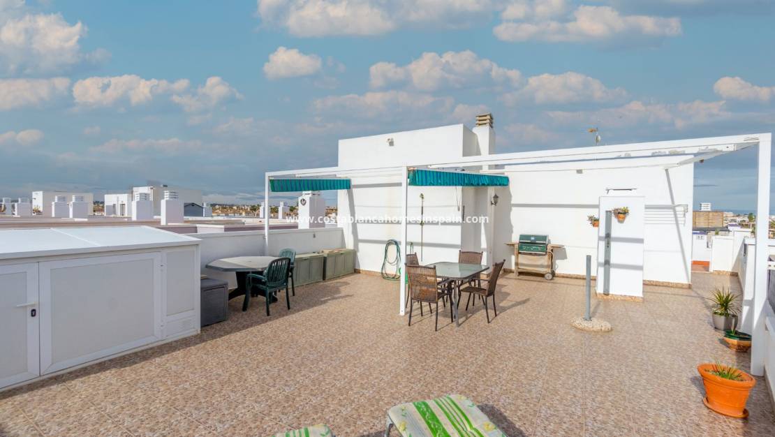 Használt - Apartment - Playa Flamenca I