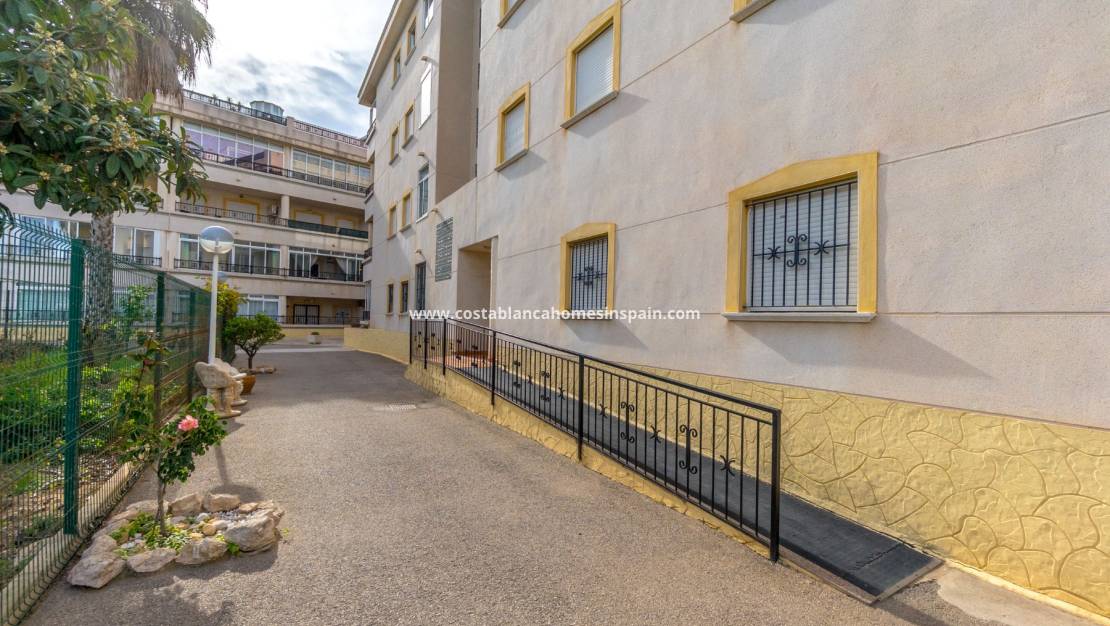 Használt - Apartment - Playa Flamenca I