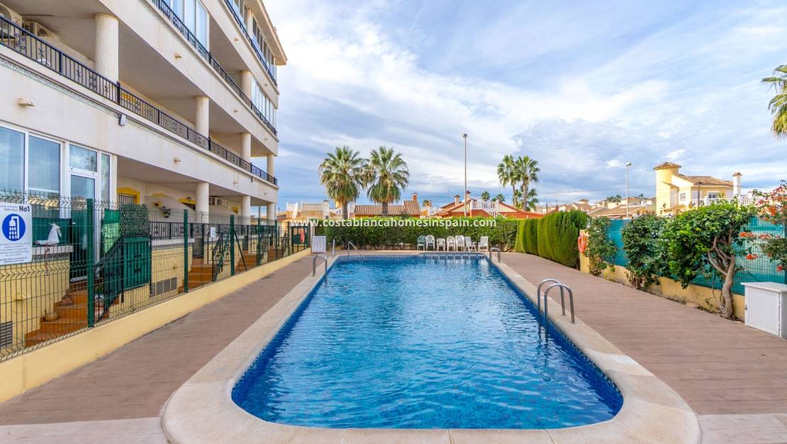Használt - Apartment - Playa Flamenca I