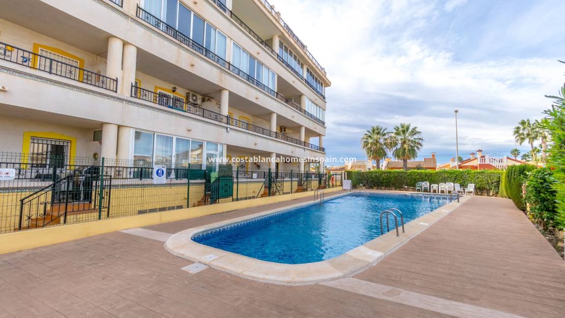 Használt - Apartment - Playa Flamenca I