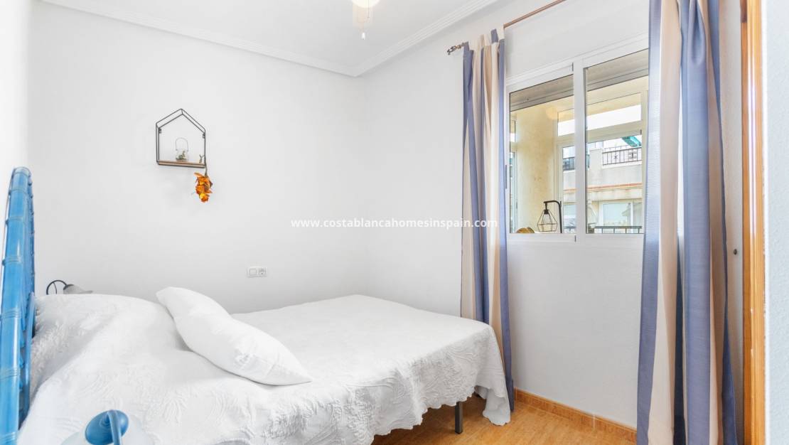 Használt - Apartment - Playa Flamenca I