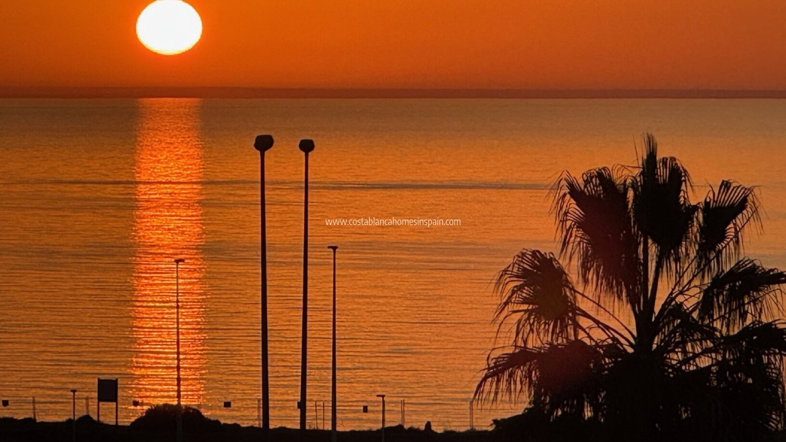 Használt - Apartment - Playa Flamenca - Orihuela Costa