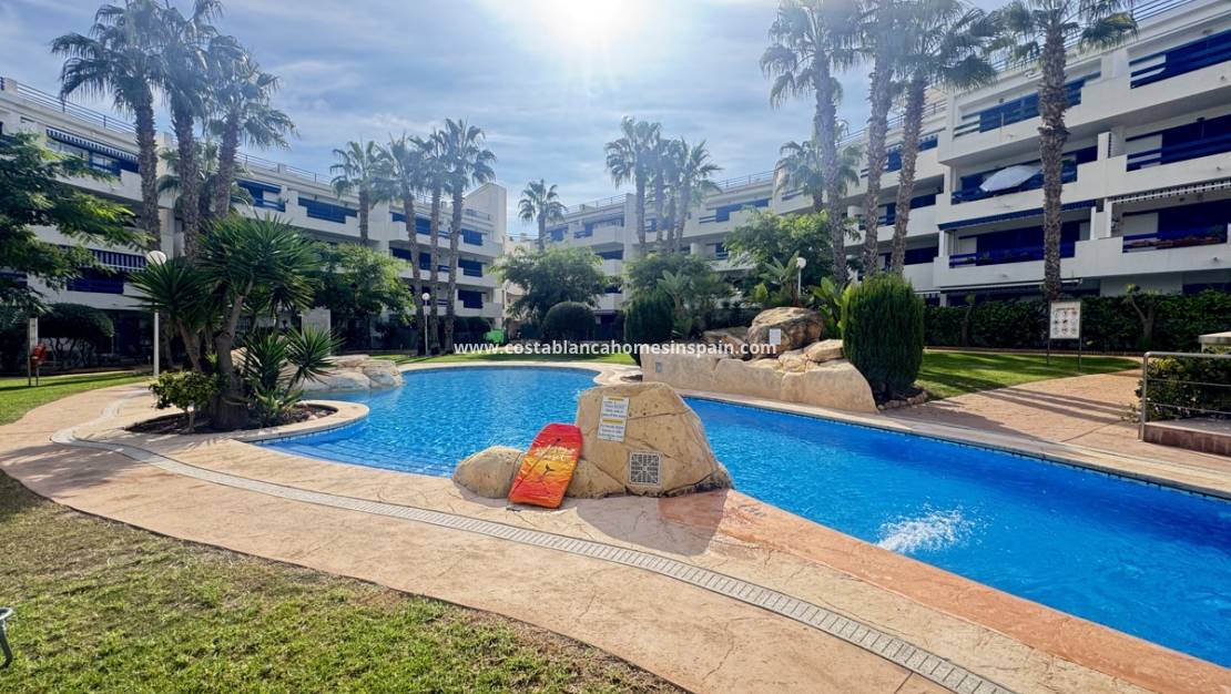 Használt - Apartment - Playa Flamenca - Orihuela Costa