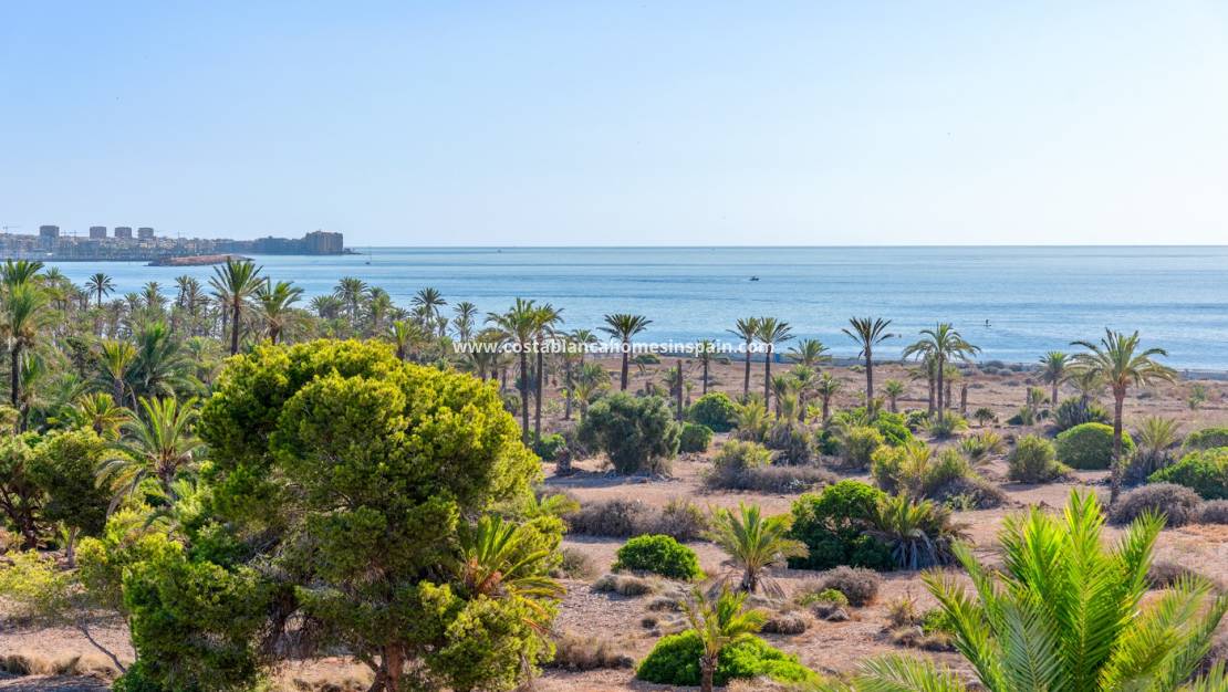 Használt - Apartment - PUNTA PRIMA - Punta prima , Orihuela Costa