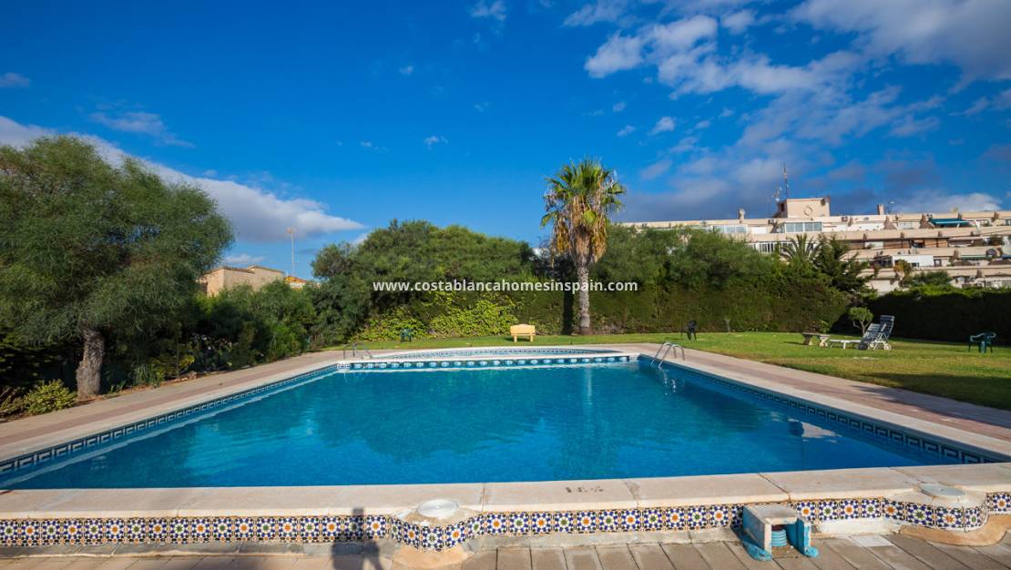 Használt - Apartment - PUNTA PRIMA - Punta prima , Orihuela Costa