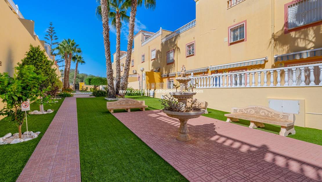 Használt - Apartment - San Miguel de Salinas - Villamartin