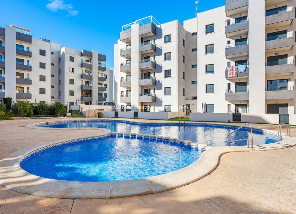 Használt - Apartment - San Miguel de Salinas - 