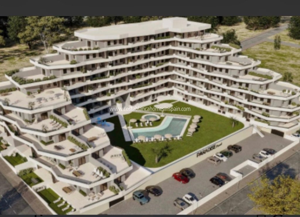 Használt - Apartment - San Miguel de Salinas - 