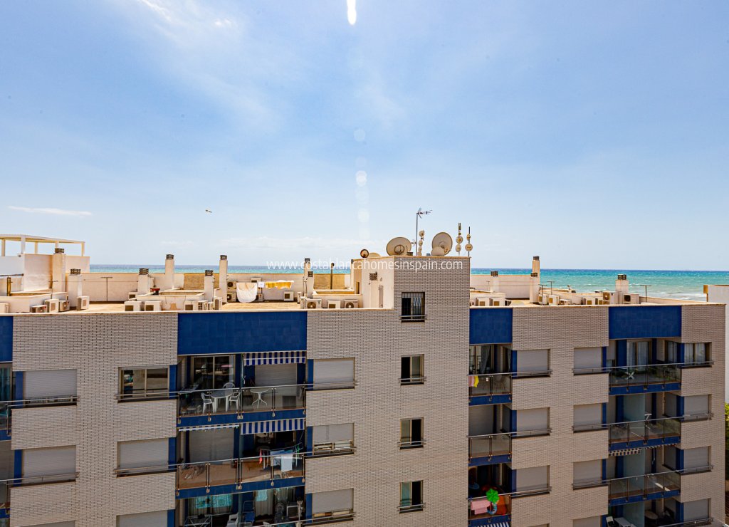 Használt - Apartment - Torrevieja - Beach