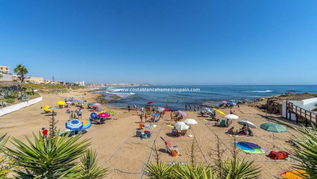 Használt - Apartment - Torrevieja - Cabo cervera