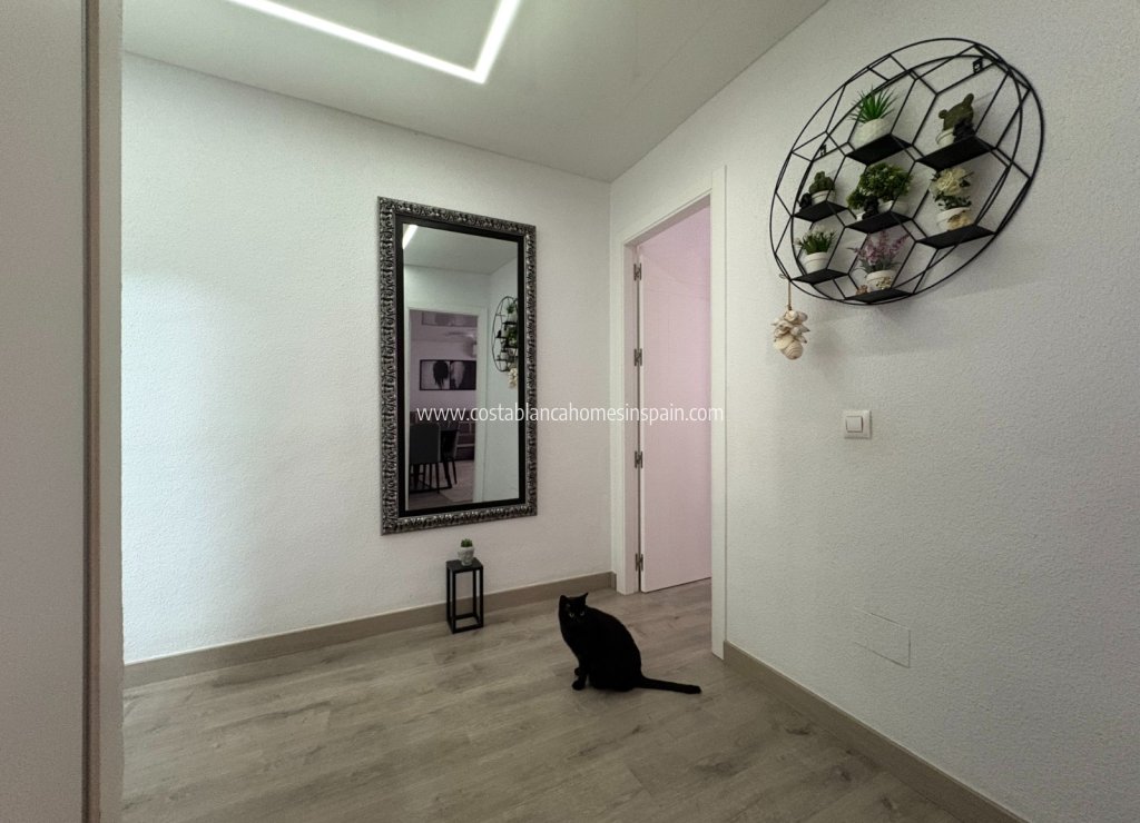 Használt - Apartment - Torrevieja - Centro