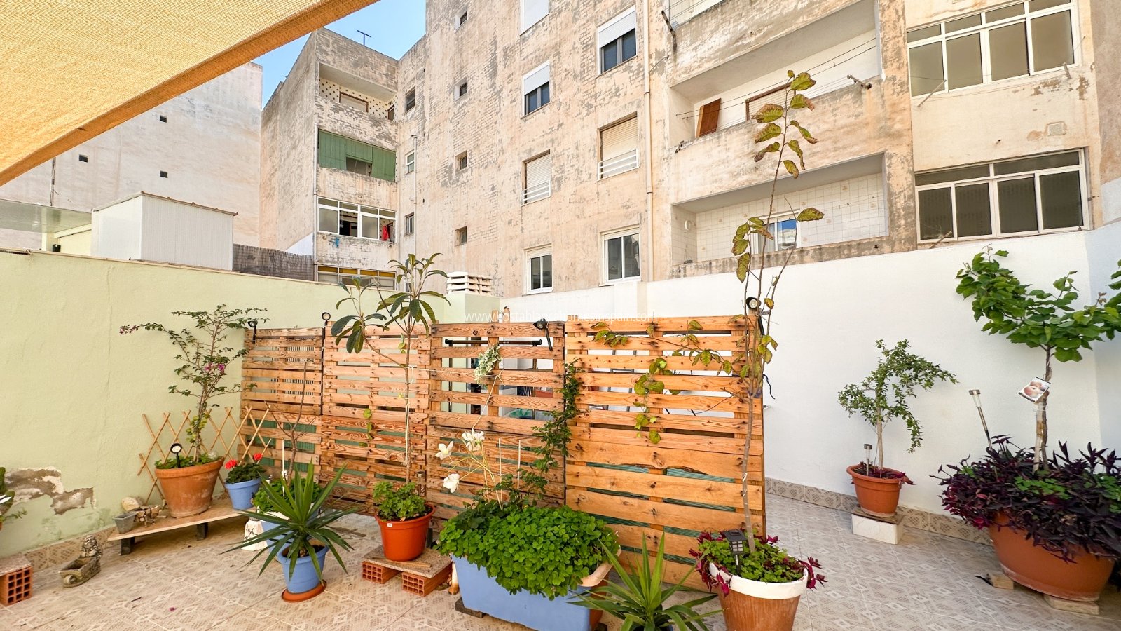 Használt - Apartment - Torrevieja - Centro