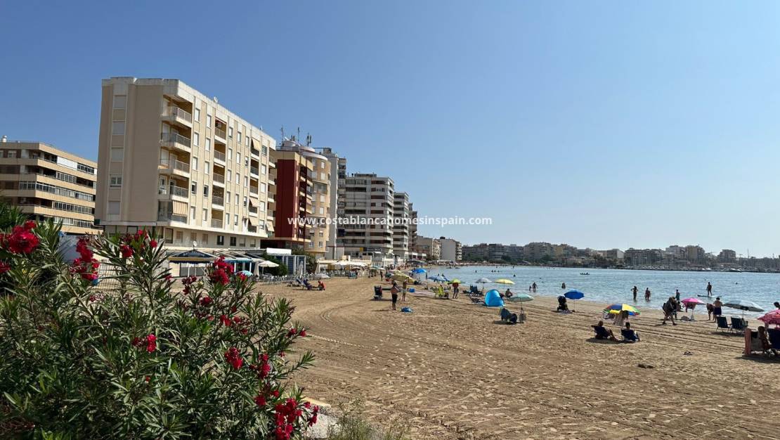 Használt - Apartment - Torrevieja - Centro