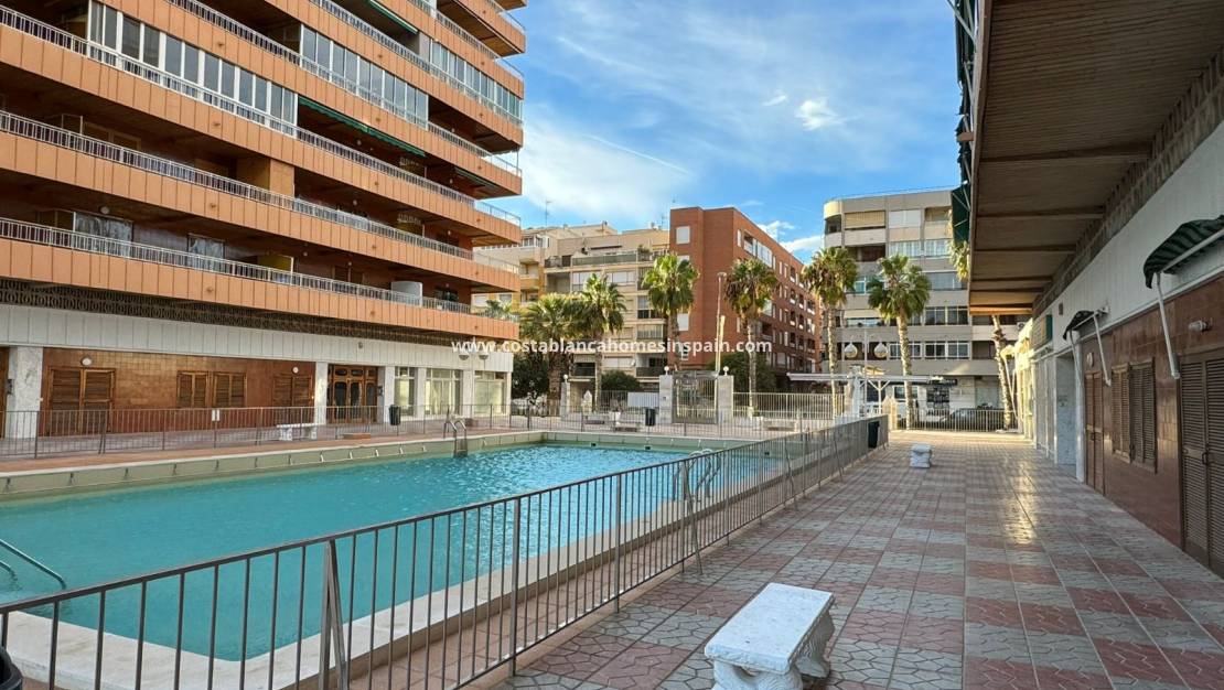 Használt - Apartment - Torrevieja - Centro