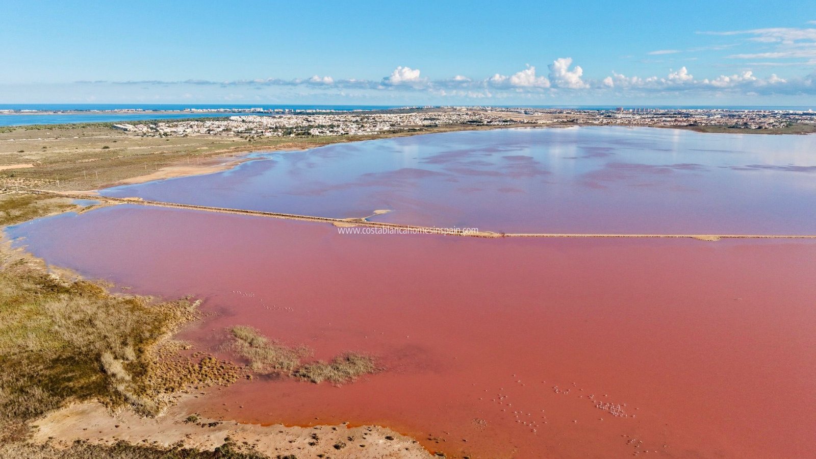 Használt - Apartment - Torrevieja - Centro
