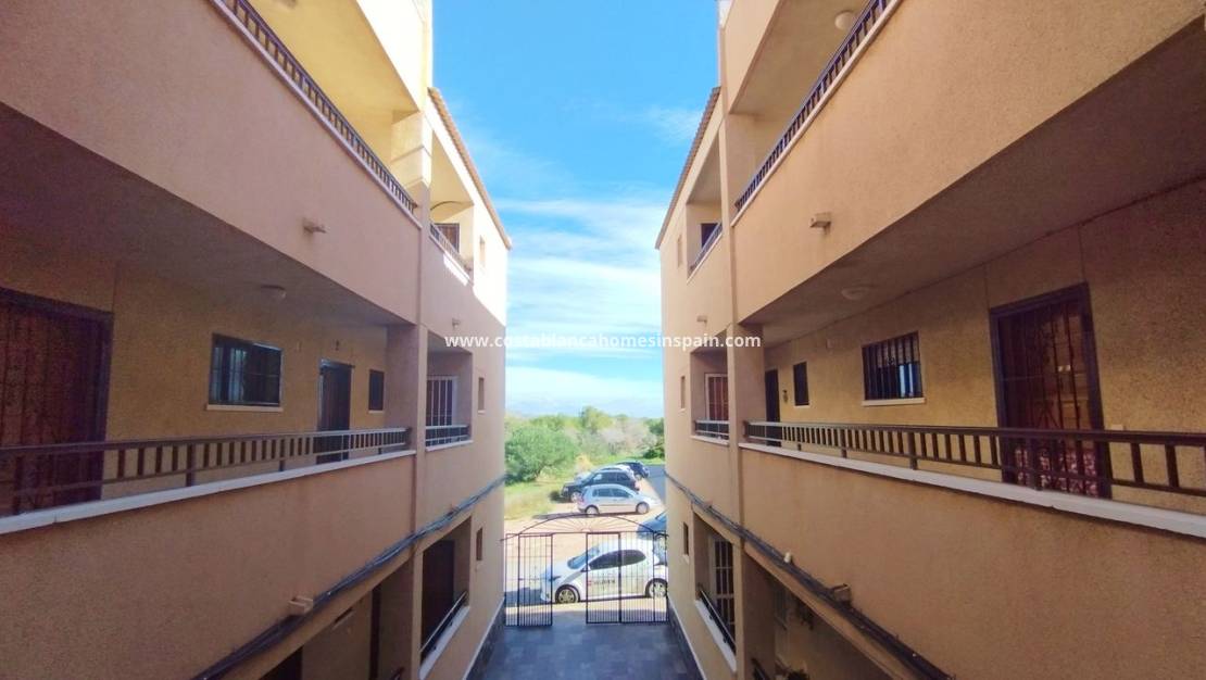 Használt - Apartment - Torrevieja - El chaparral