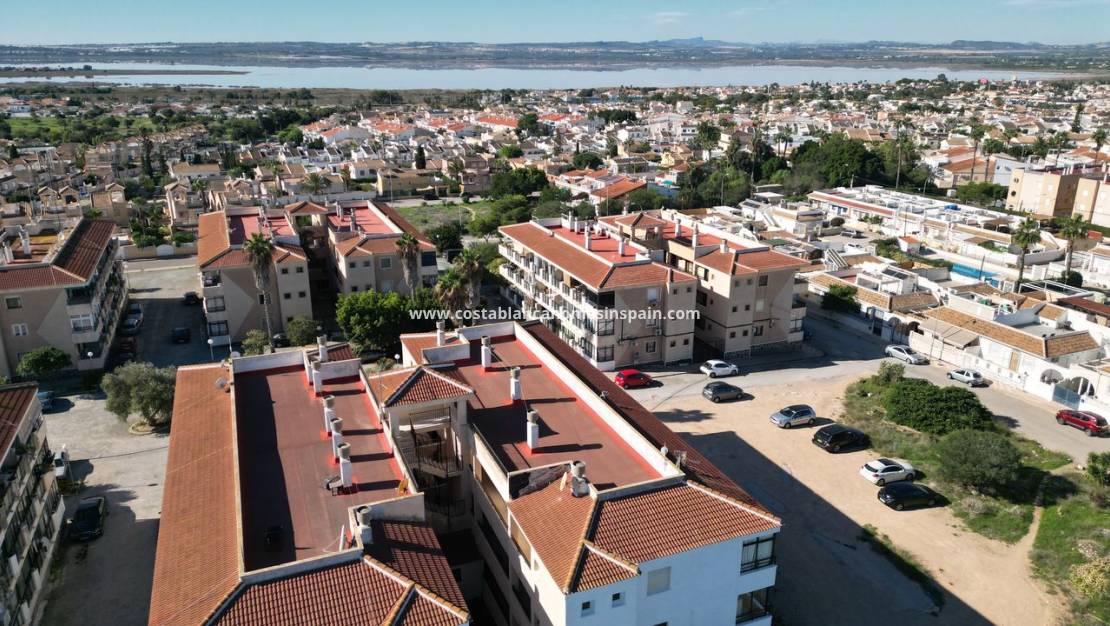 Használt - Apartment - Torrevieja - El chaparral
