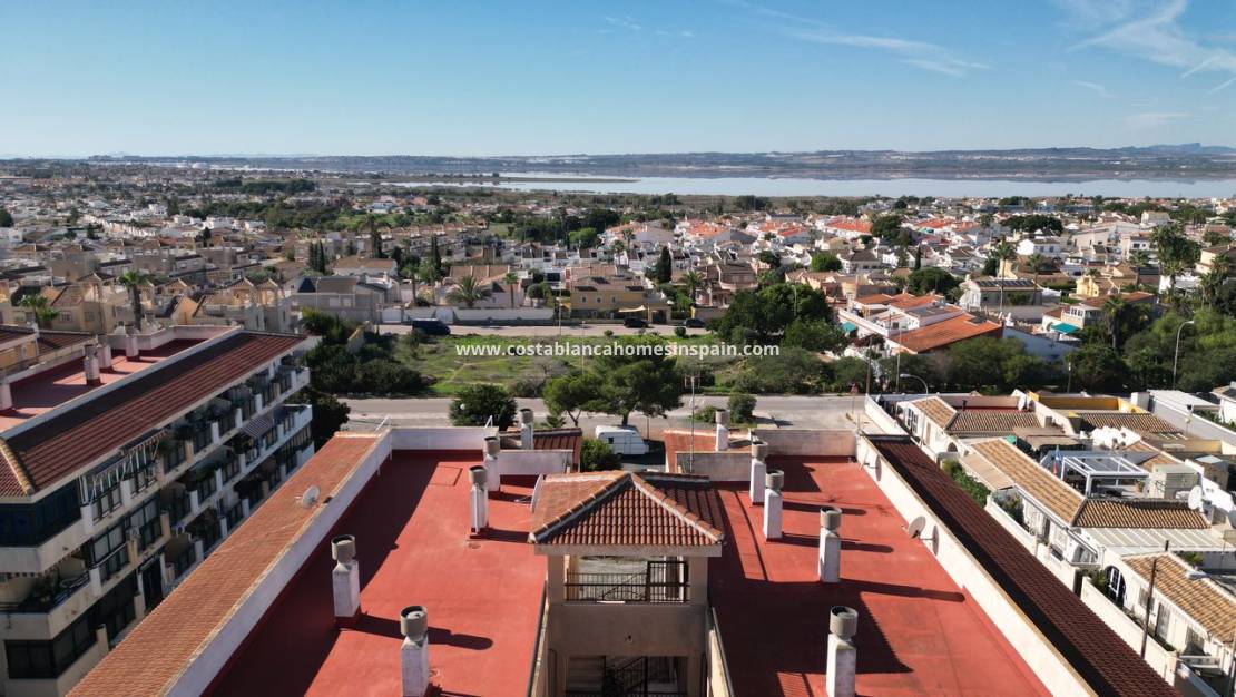 Használt - Apartment - Torrevieja - El chaparral