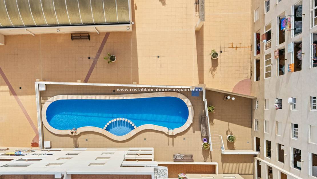 Használt - Apartment - Torrevieja - El molino